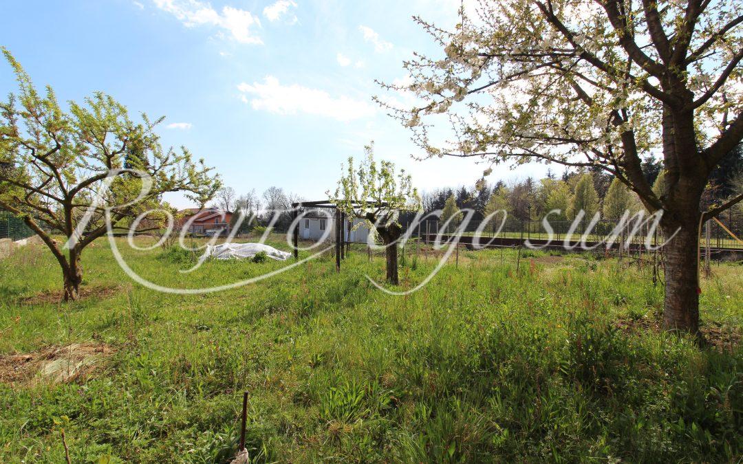 Carnago – Terreno edificabile